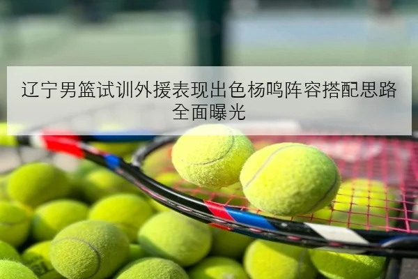 辽宁男篮试训外援表现出色杨鸣阵容搭配思路全面曝光